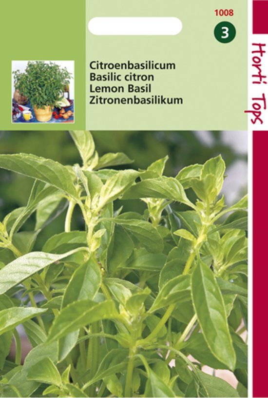 Citroenbasilicum (Ocimum  citriodorum) 900 zaden HT